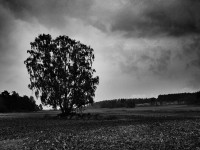Höst, höst, regn, regn
